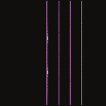 Mitosis